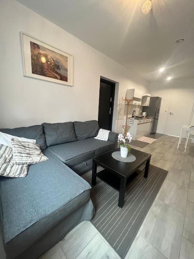 Apartament Wrzosowa Kudowa-Zdroj Bagian luar foto